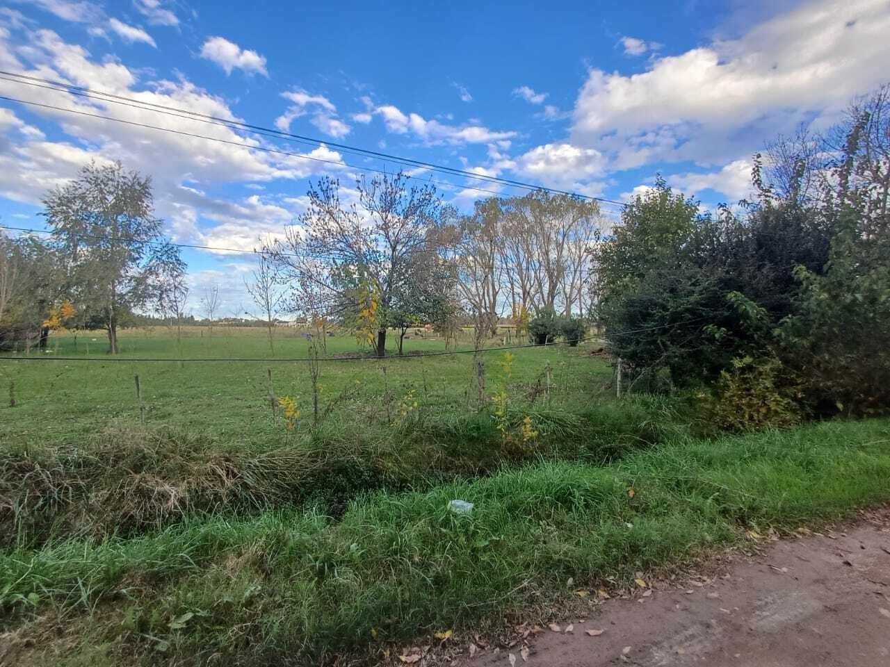 Foto de Terreno en Venta en Gomez - Calle Los Alamos -, imagen 5