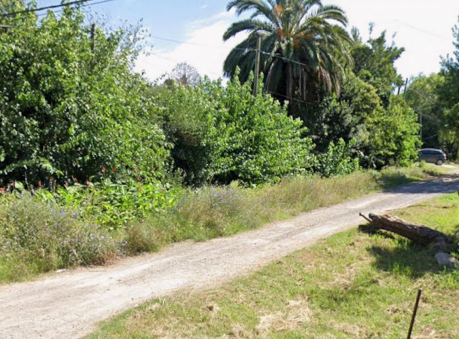 Terreno - Villa Elisa