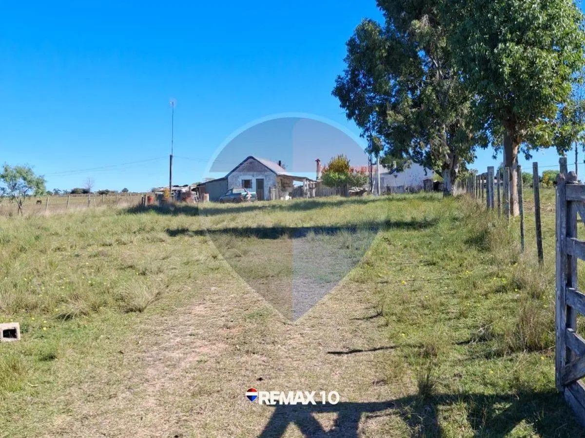 Oportunidad Chacra de 2 Hectáreas en Venta 5