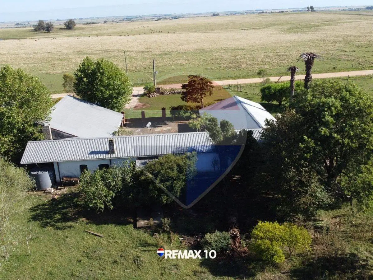 Chacra de 9 hectáreas con múltiples construcciones 4