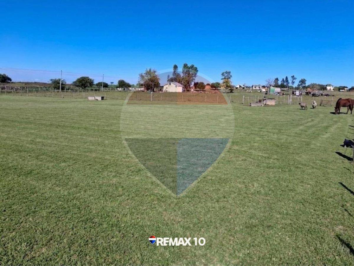 Foto de Oportunidad Chacra de 2 Hectáreas en Venta, imagen 3