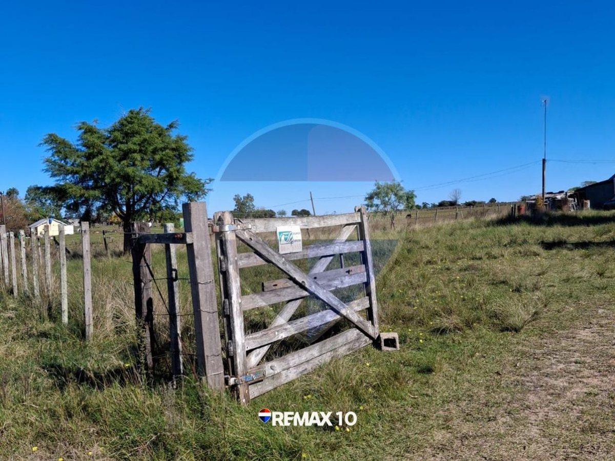Foto de Oportunidad Chacra de 2 Hectáreas en Venta, imagen 4