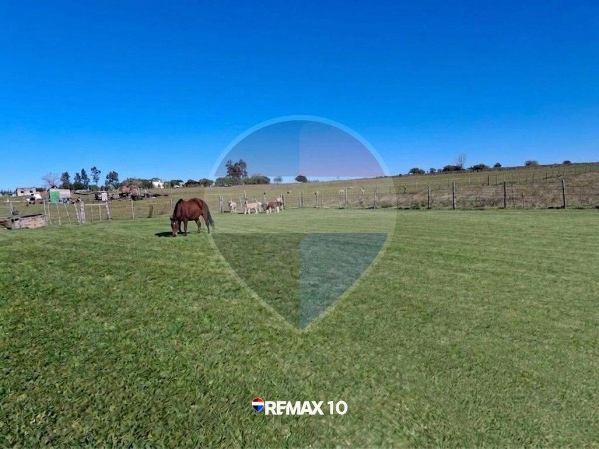 Foto de Oportunidad Chacra de 2 Hectáreas en Venta, imagen 2