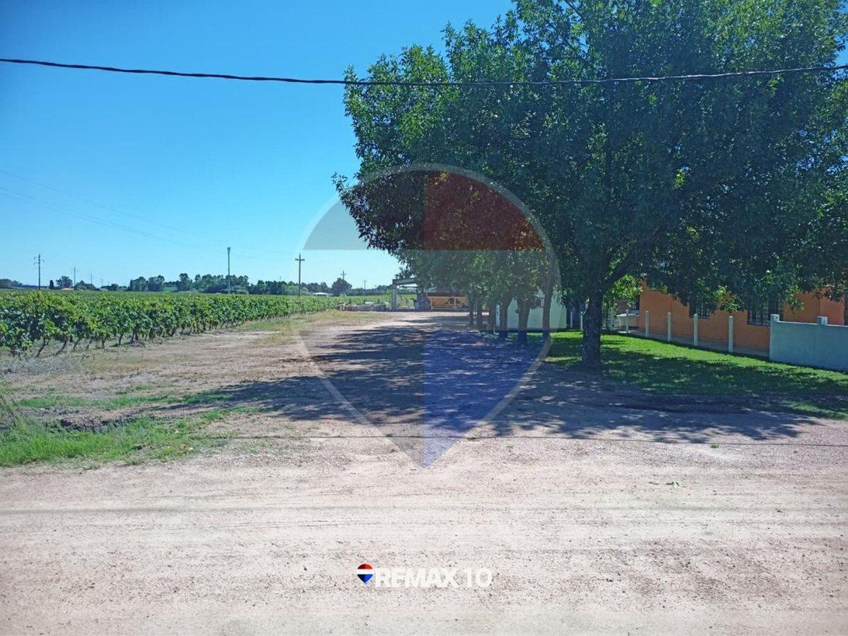 Foto de Casa Quinta en Venta - Joanicó Canelones, imagen 3
