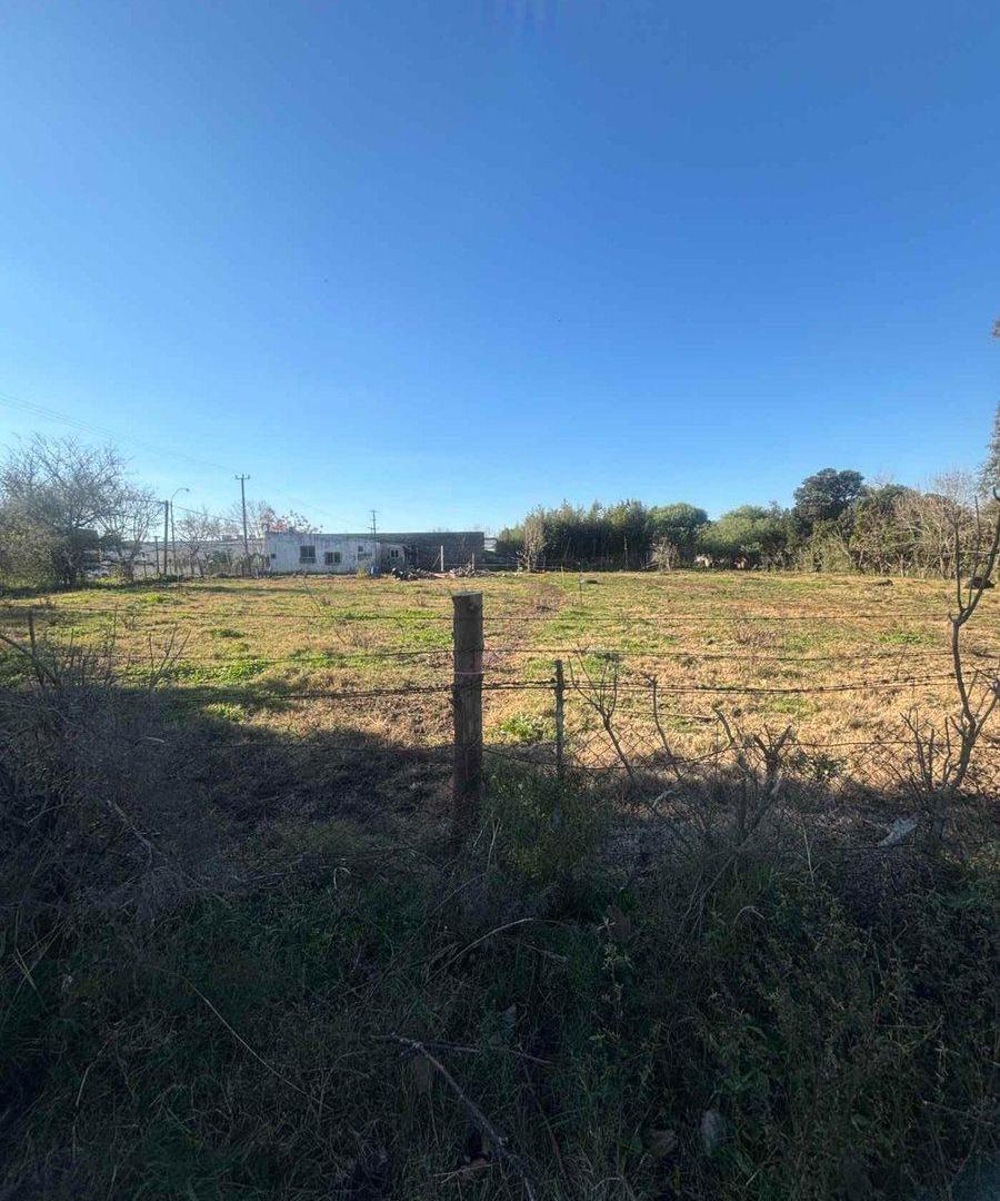Foto de TERRENO EN VENTA. LA CRUZ, FLORIDA, imagen 3