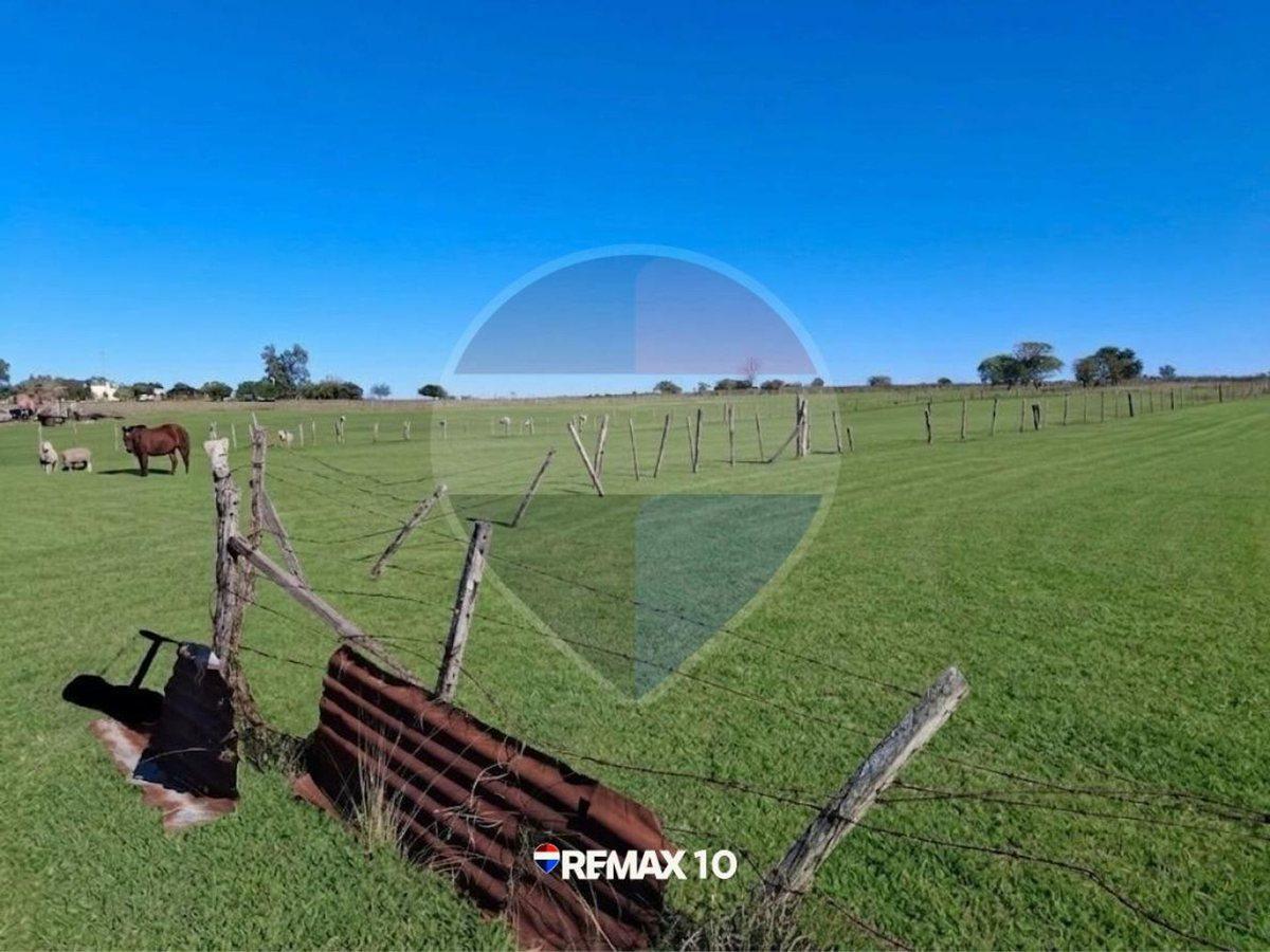 Foto de Oportunidad Chacra de 2 Hectáreas en Venta, imagen 3