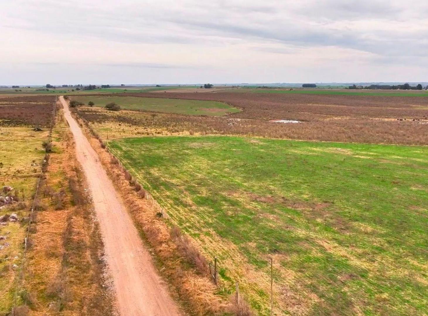 Foto de Venta 37 hectáreas próximo a Ruta 5, imagen 5