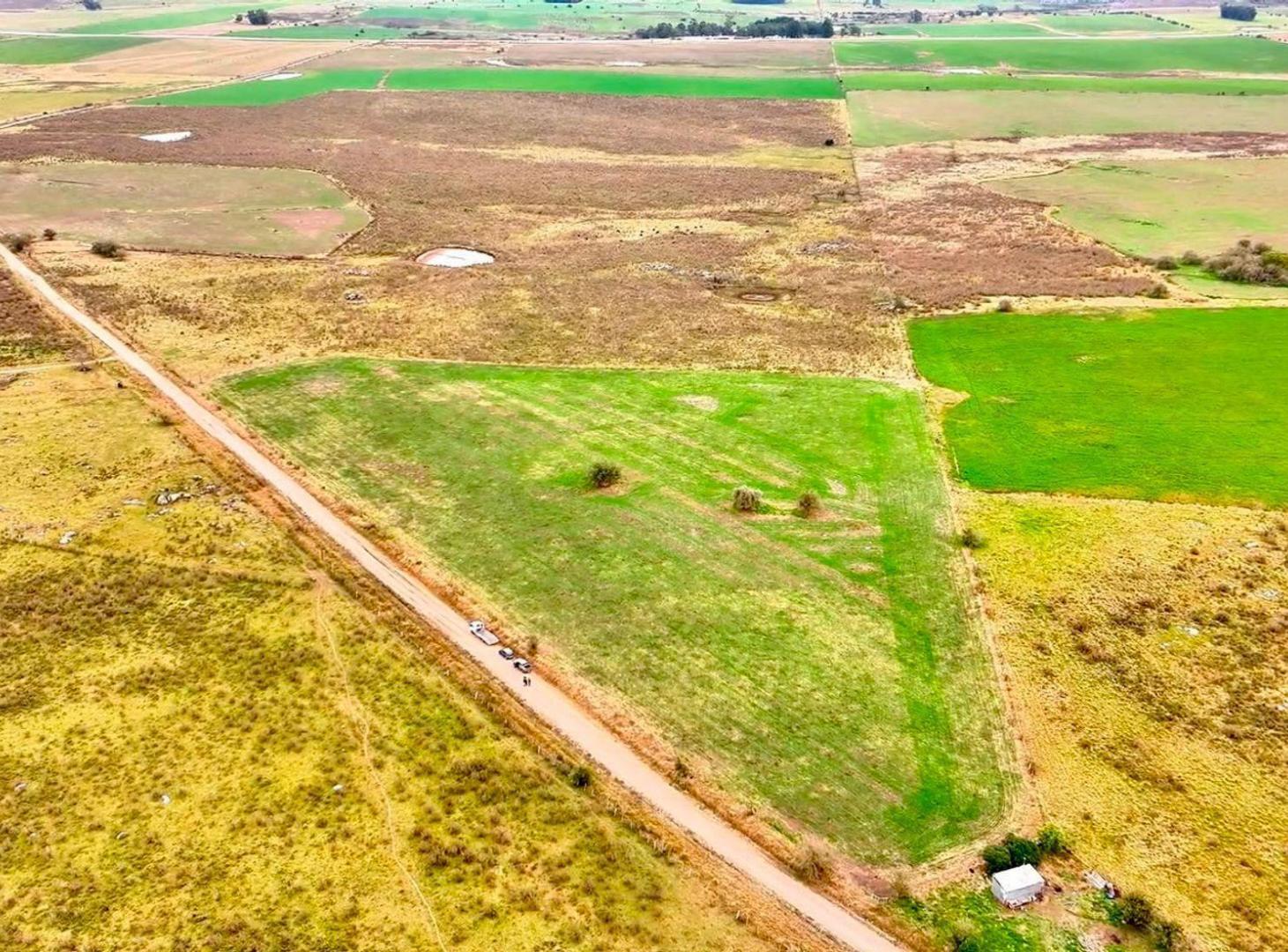 Foto de Venta 37 hectáreas próximo a Ruta 5, imagen 3