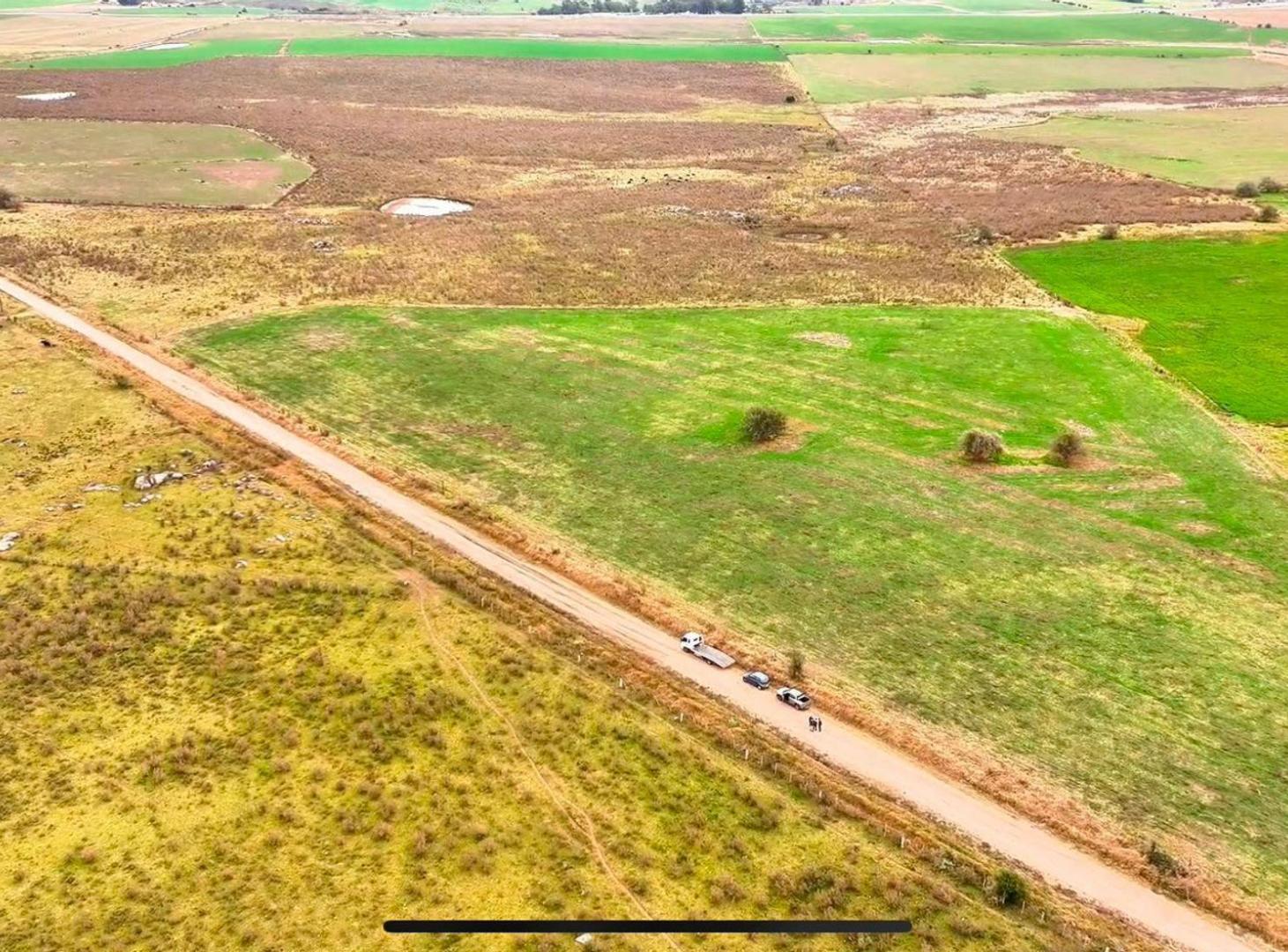 Foto de Venta 37 hectáreas próximo a Ruta 5, imagen 1