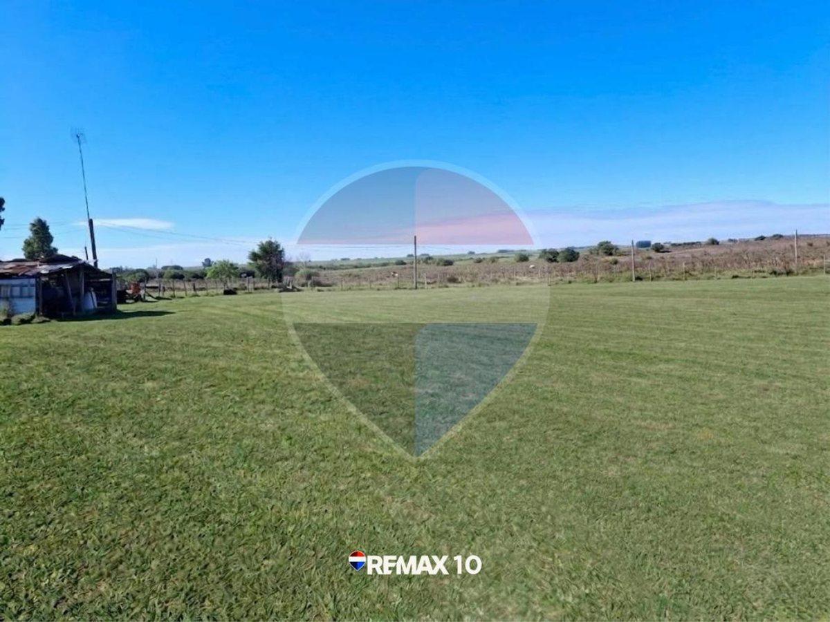 Foto de Oportunidad Chacra de 2 Hectáreas en Venta, imagen 3