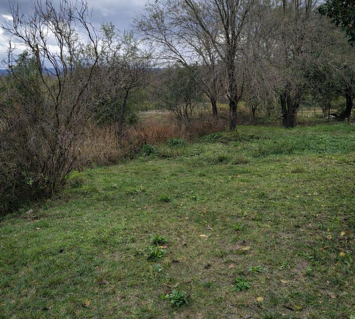 Foto de Terreno de 1186 m² en venta en Villa Giardino, imagen 3