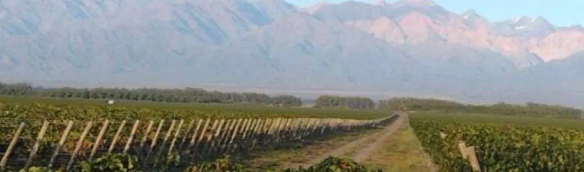 Finca en Altamira 3