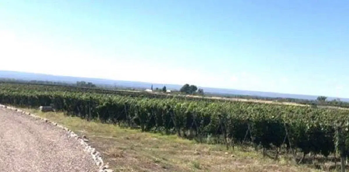 Finca en Altamira 2