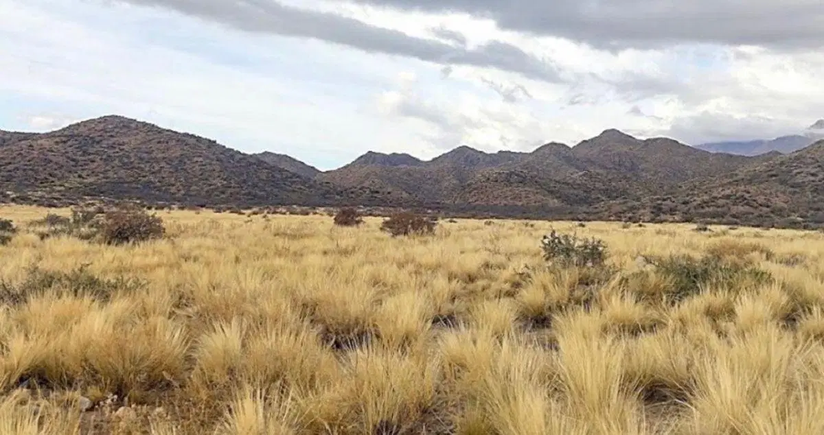 Campo en Los Chacayes 4