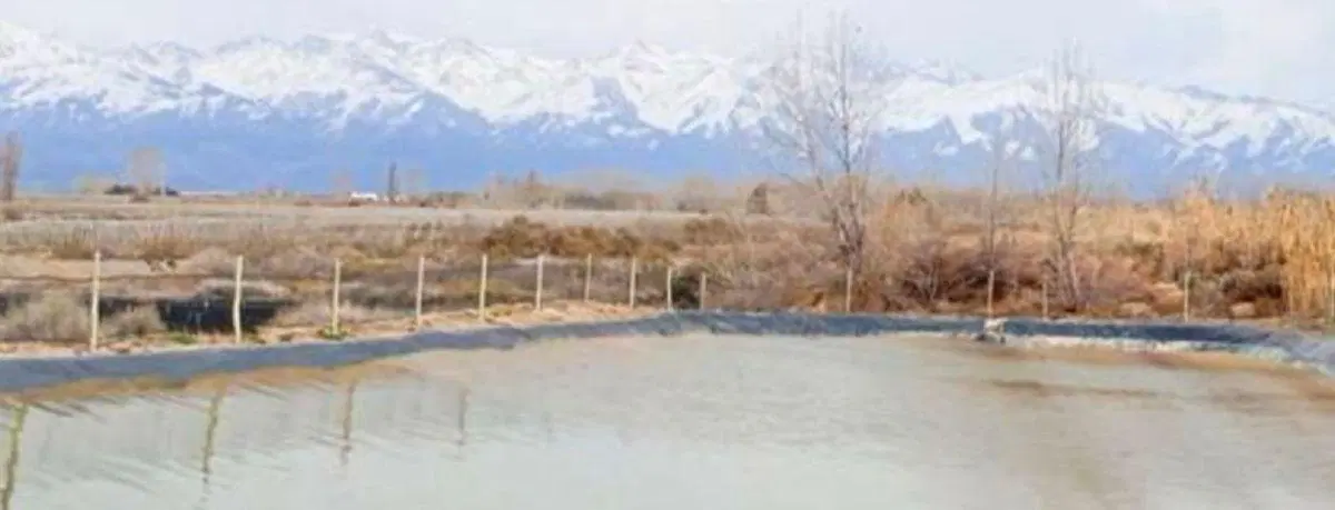 Finca y bodega en Gualtallary 1