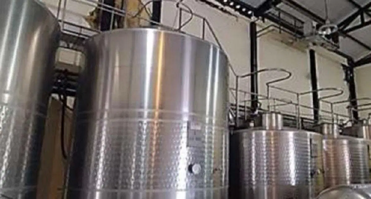 Finca y bodega en Gualtallary 4