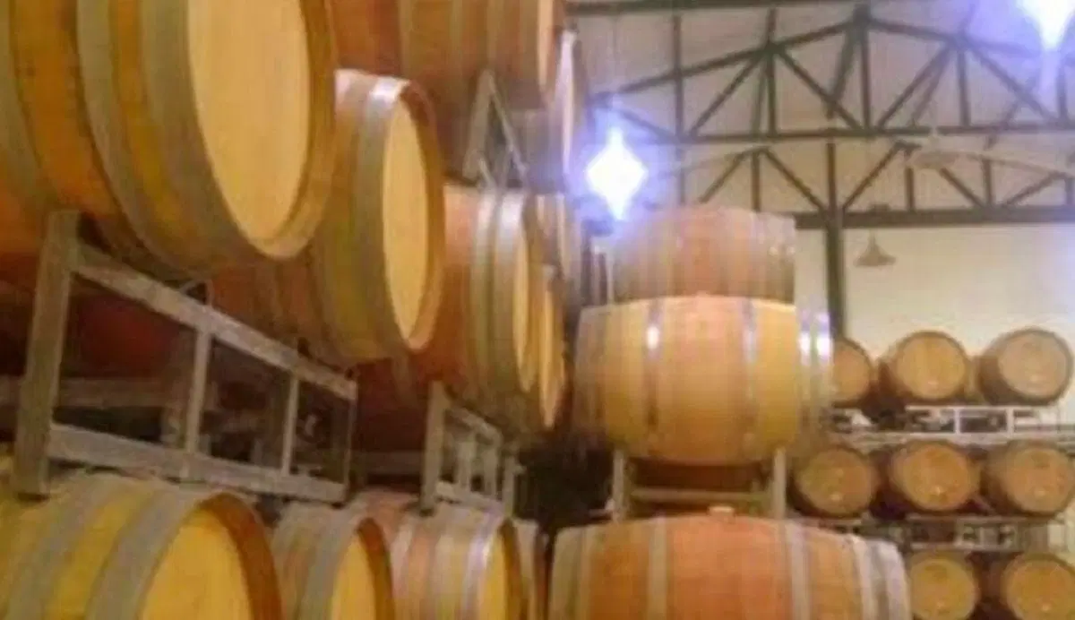 Finca y bodega en Gualtallary 3