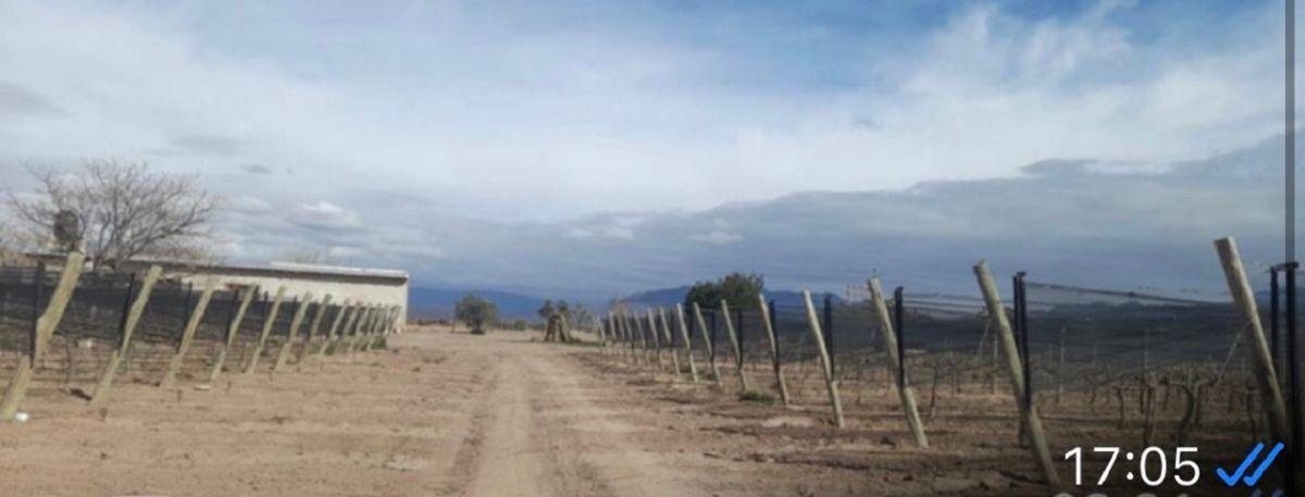 Foto de Finca en Alto Agrelo, imagen 2