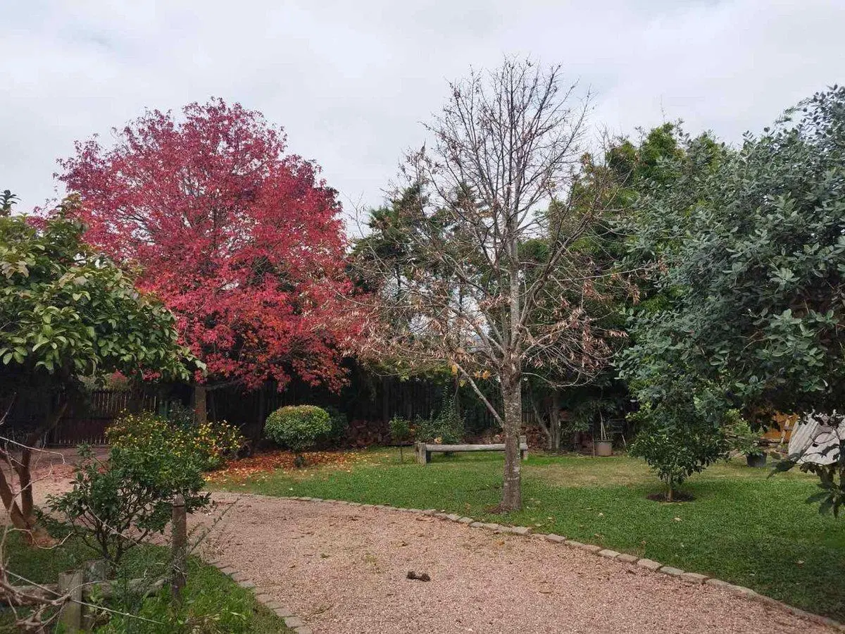 Venta Terreno con mejoras en San José de Carrasco 3