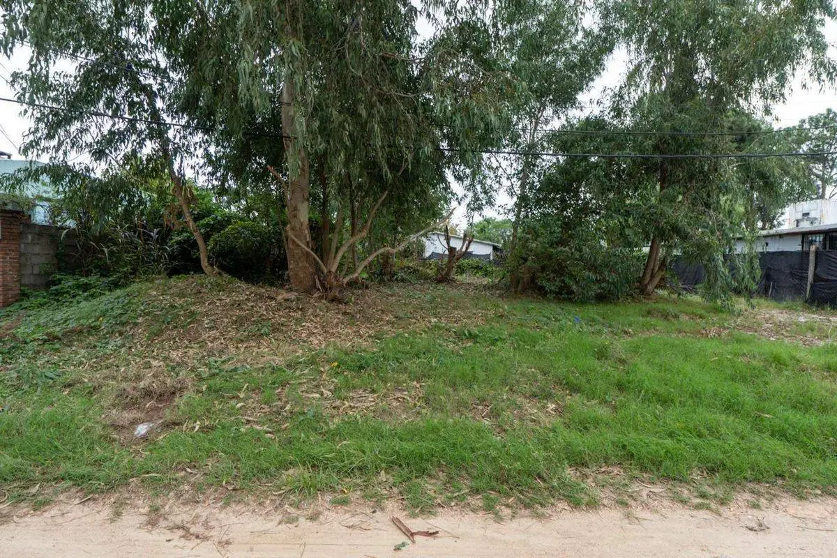 Venta terreno en El Pinar a metros Interbalnearia 5
