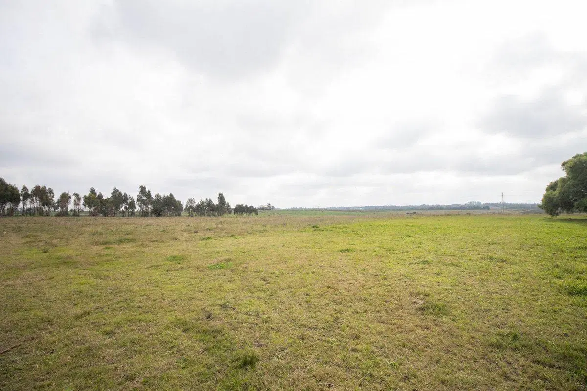 Centro Operativo Logístico con Vivienda - 9ha- 2