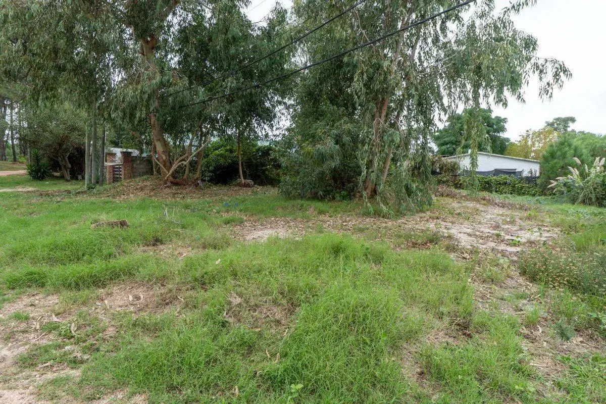 Venta terreno en El Pinar a metros Interbalnearia 4