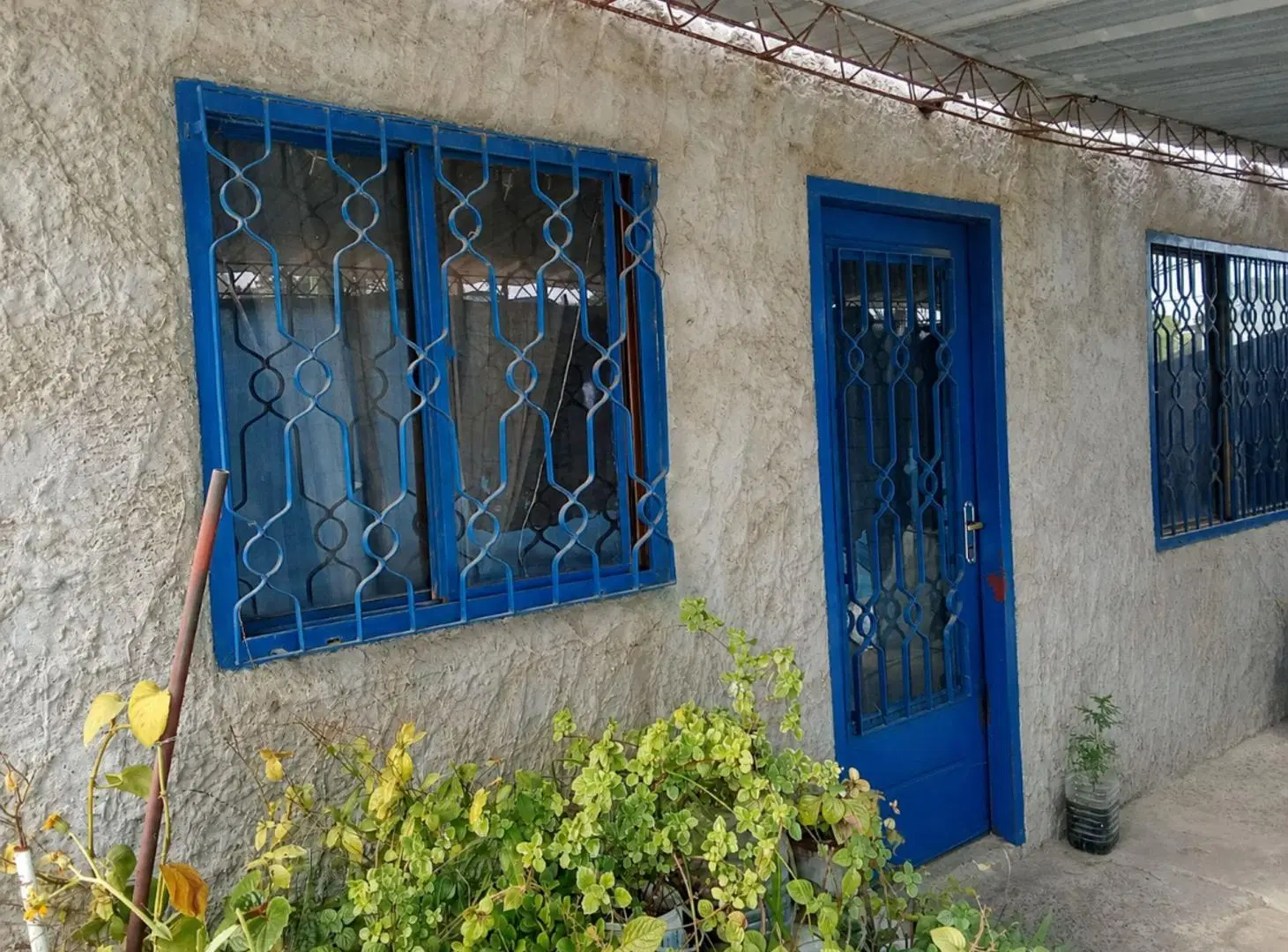 Oportunidad Pinar Norte Gran Terreno con Casa 5