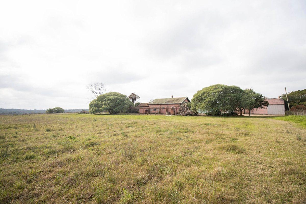 Foto de Galpones en Chacra de 9 ha con Vivienda, imagen 2