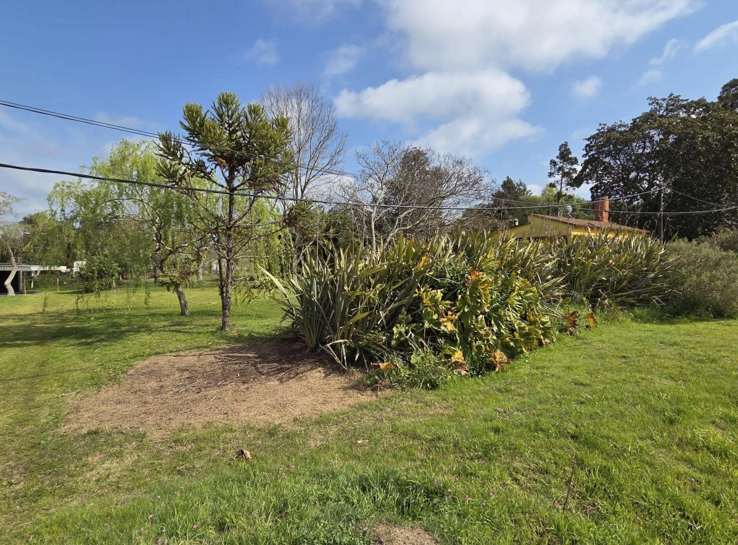 Foto de VENTA TERRENO Santa Lucia Del Este, 4 cdas playa, imagen 4