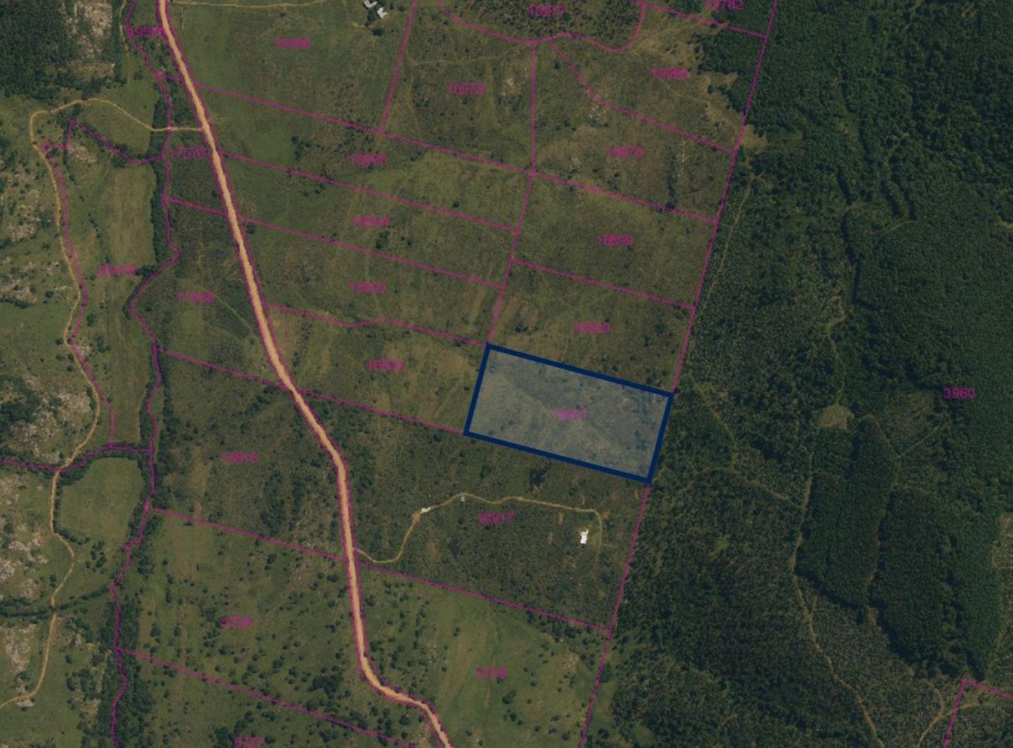 Foto de VENTA CHACRA 5 HA AGUAS BLANCAS, imagen 3