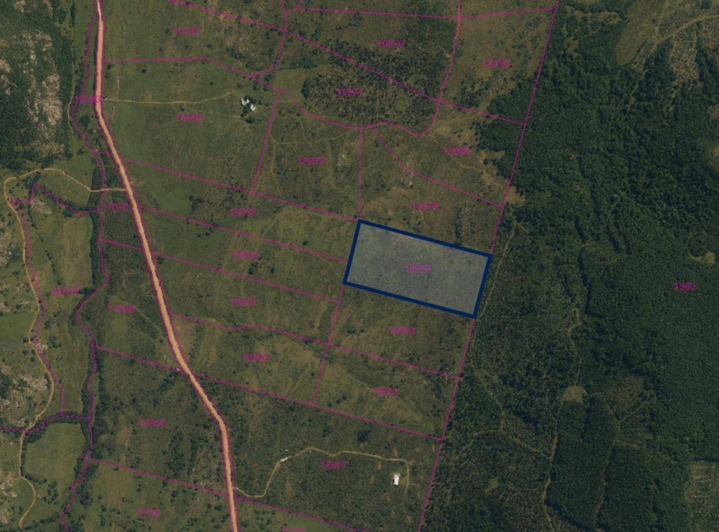 Foto de VENTA CHACRA 5 HA AGUAS BLANCAS, imagen 4