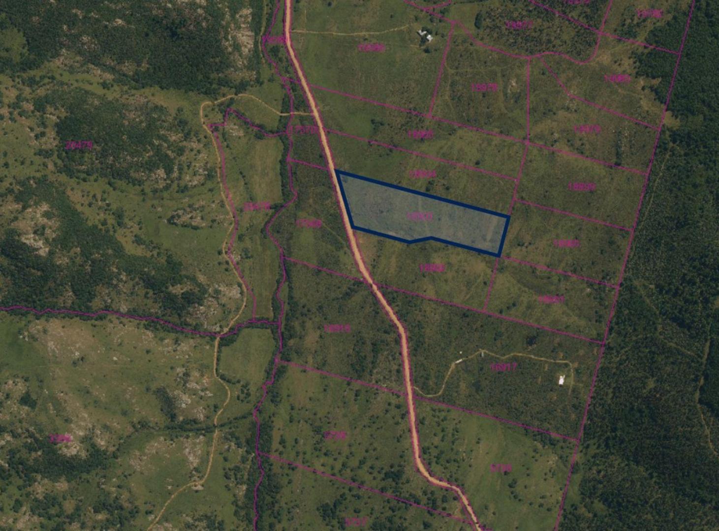 Foto de VENTA CHACRA 5 HA AGUAS BLANCAS, imagen 5