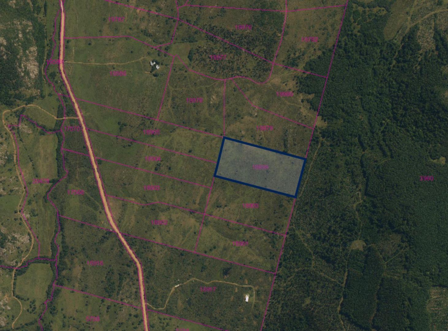 Foto de VENTA CHACRA AGUAS BLANCAS 5HA, imagen 3