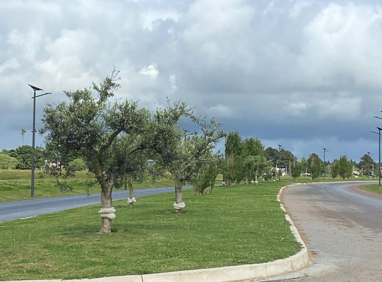 Foto de Veni a construir en Cavas de la Tahona!!!, imagen 3