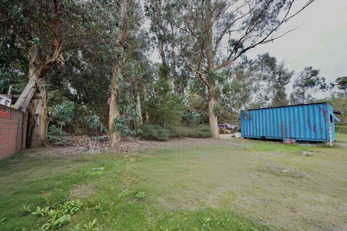 Foto de Venta Terreno amplio en Neptunia sobre ruta ideal, imagen 3