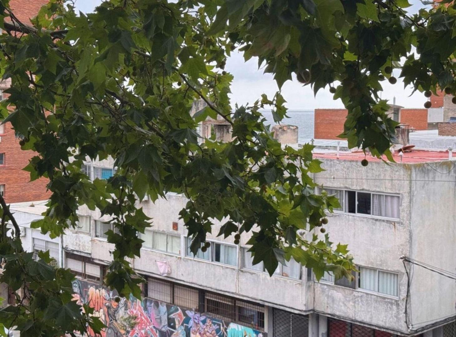 Foto de Apartamento 2 Dormitorios con Renta en Barrio Sur, imagen 2