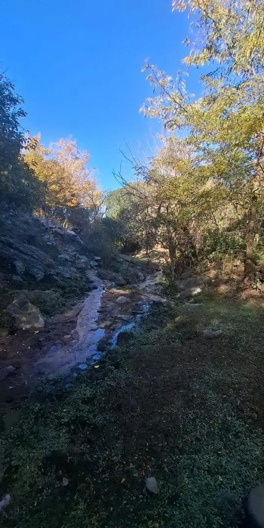 Alquilo Campo para Pastaje de Bovinos en Villa Ciudad de América - José de la Quintana 1