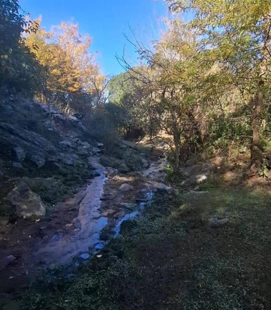 Foto de Alquiler 70 has para pastaje - Dique Los Molinos - Villa Ciudad de, imagen 5
