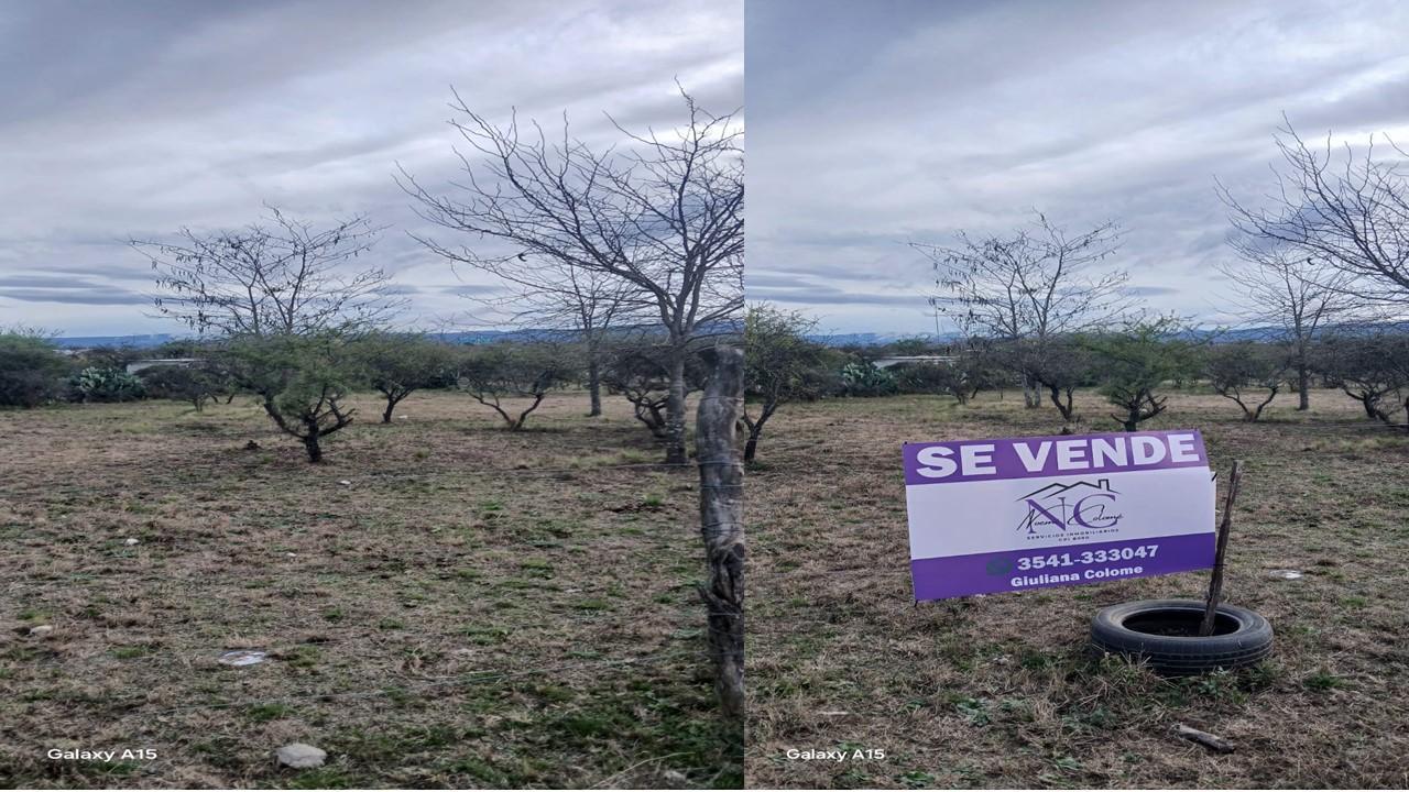 Foto de Terreno en Villa Playa San Roque, imagen 5