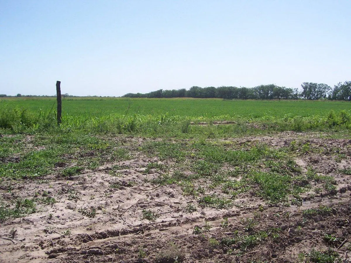 CAMPO IDEAL PARA DESARROLLO AGRICOLA Y GANADERO!! 3