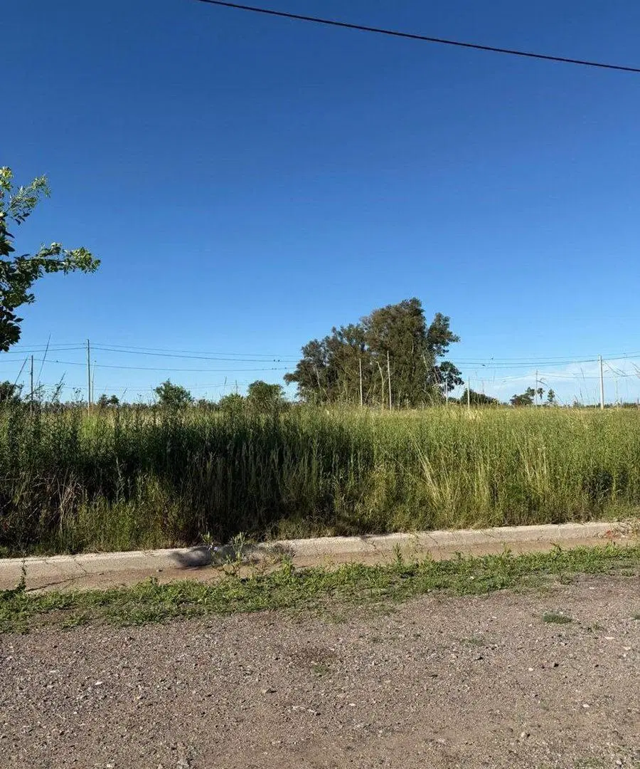 SE VENDE LOTE EN NUEVO ITALIA 250MTS2 2