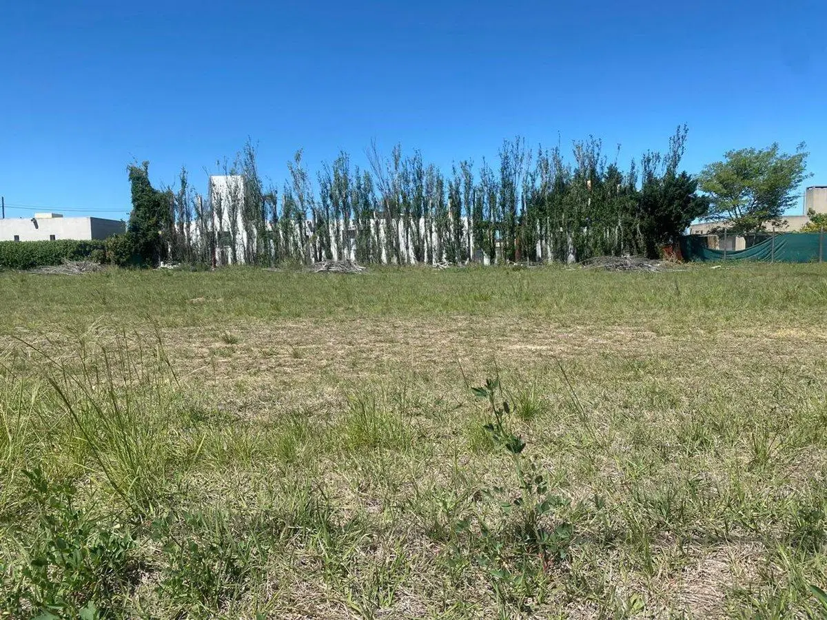 EXCELENTE LOTE SOBRE RUTA Nº1 2