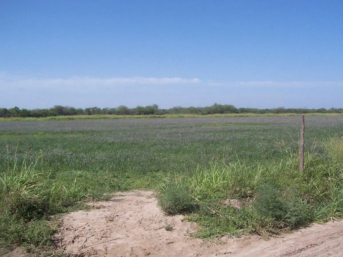 CAMPO IDEAL PARA DESARROLLO AGRICOLA Y GANADERO!! 3