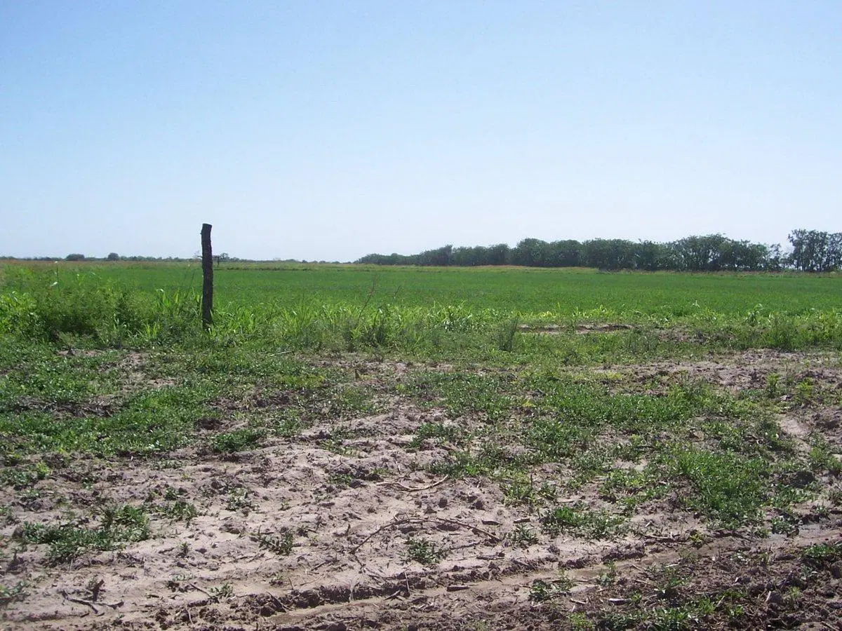 CAMPO IDEAL PARA DESARROLLO AGRICOLA Y GANADERO!! 2