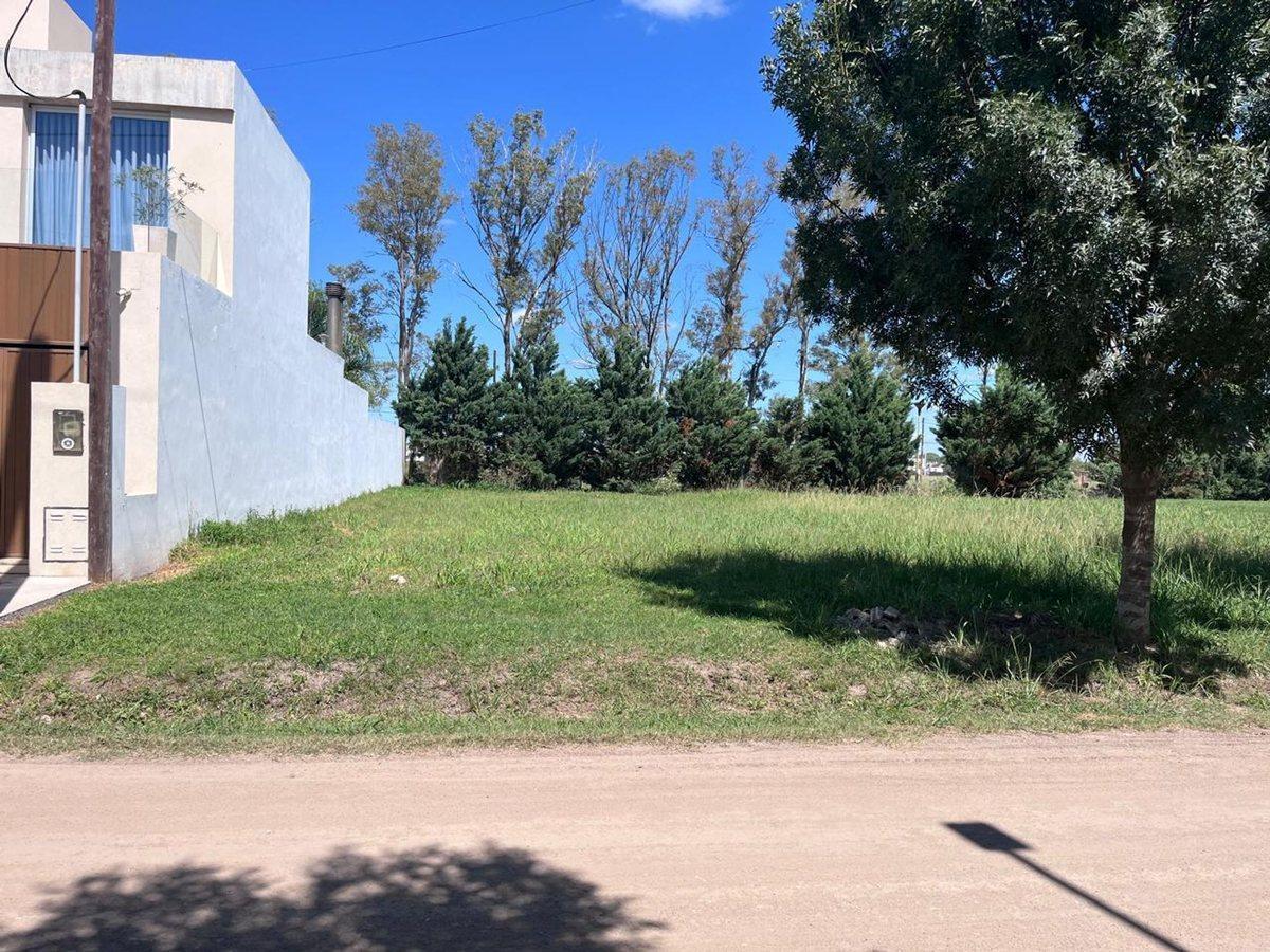 VENTA TERRENO ZONA NORTE, PALMARES 3