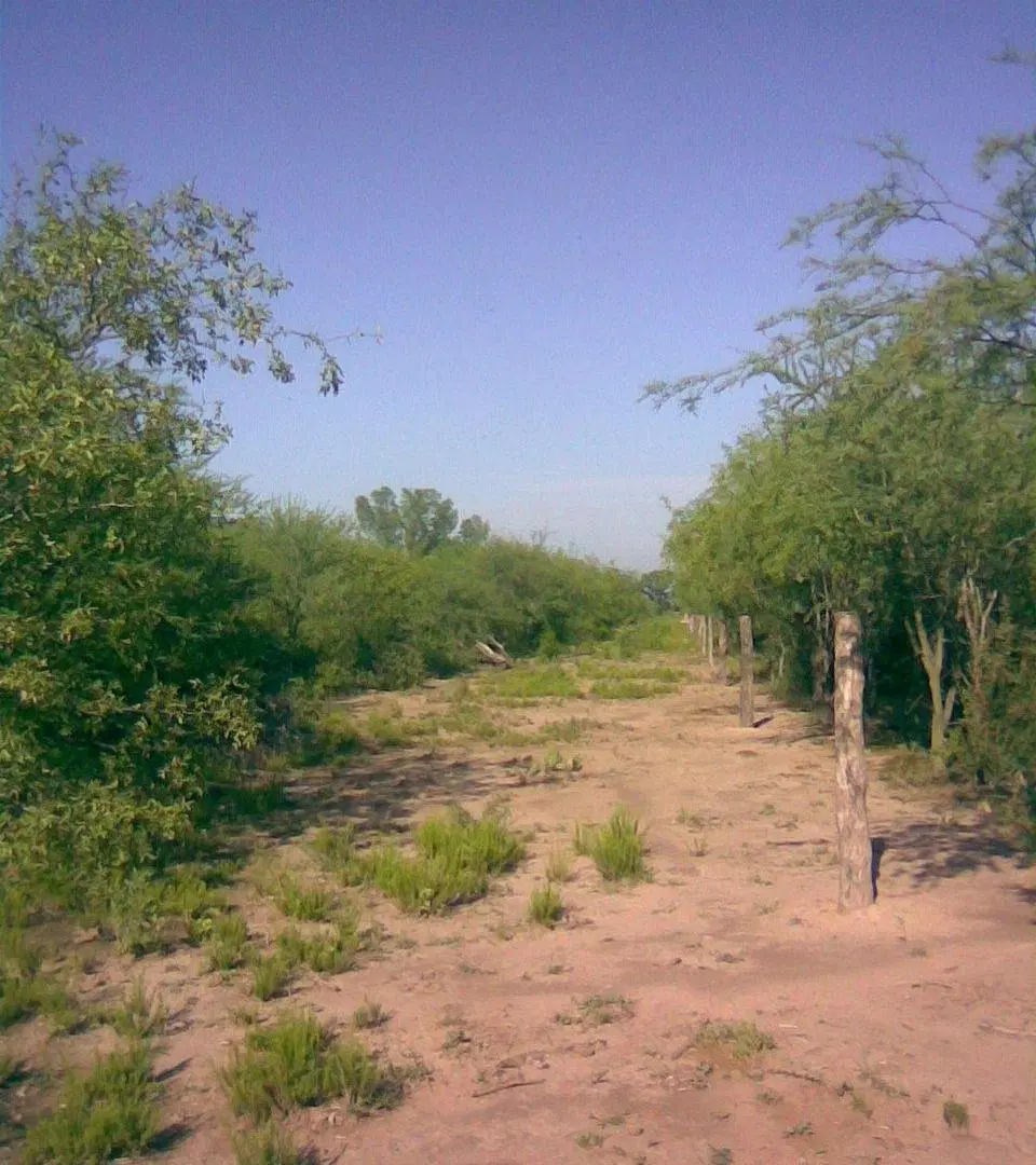 CAMPO APTO GANADERIA Y AGRICULTURA- COLONIA DORA 4