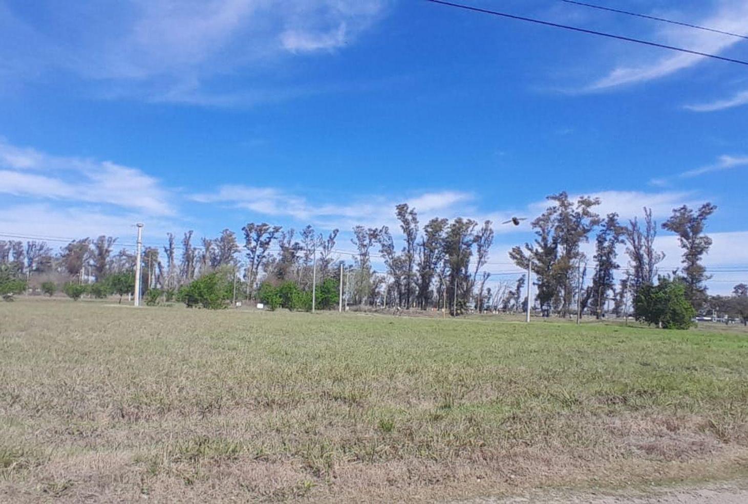 Foto de VENTA TERRENO | Barrio Parque Maipu, imagen 1