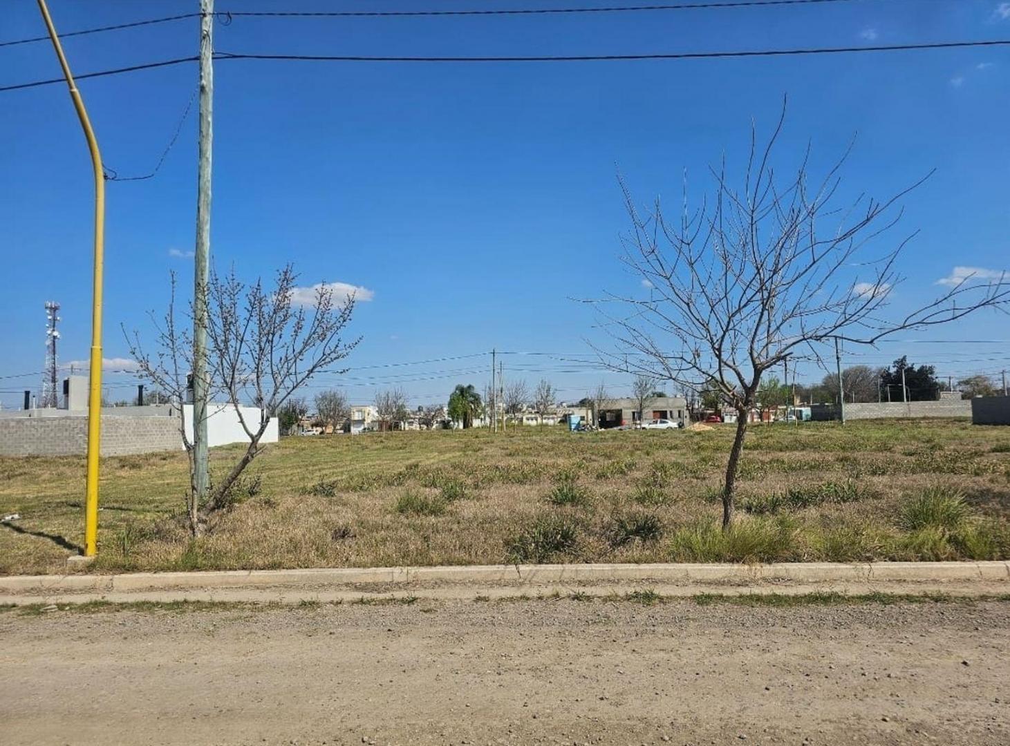 Foto de LOTE EN VENTA NUEVA ITALIA, imagen 1