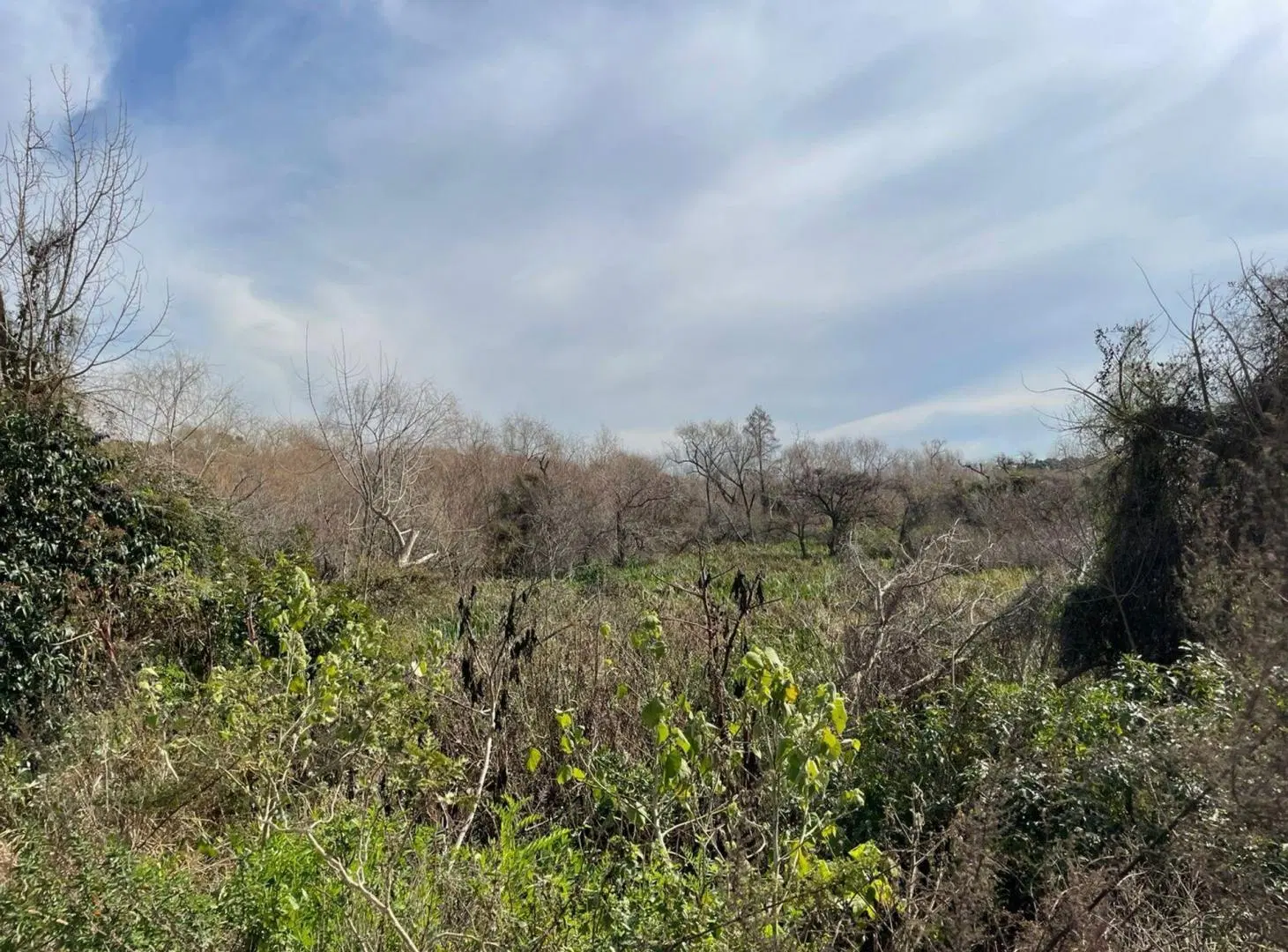 Venta Terreno en la Costa de Villa Domínico 5