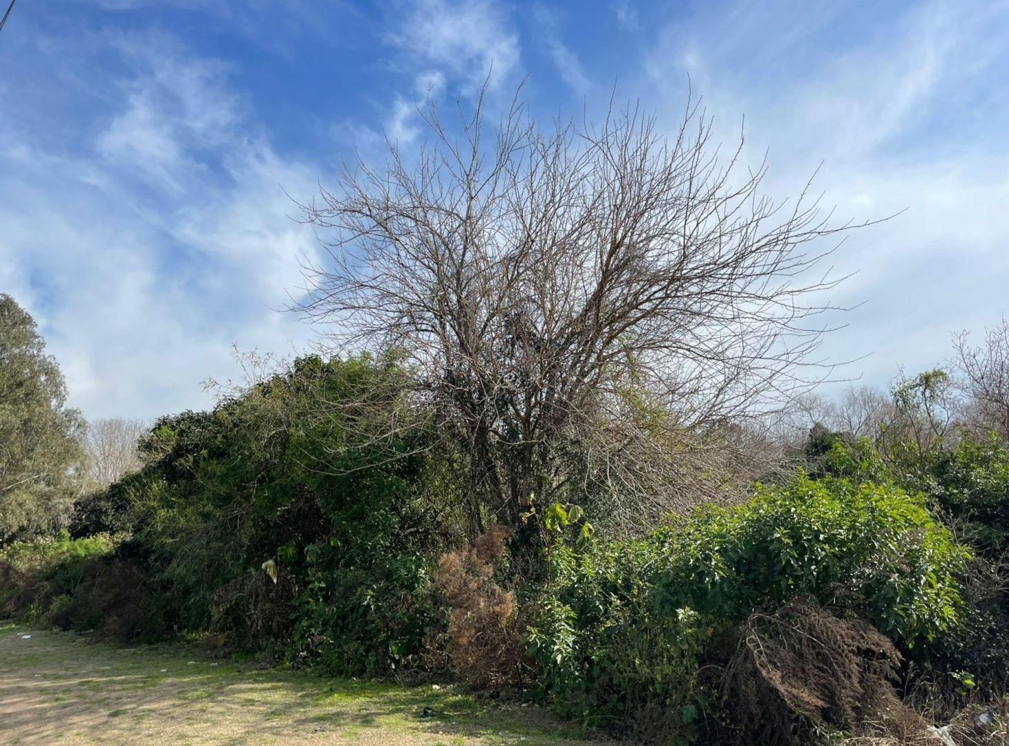 Venta Terreno en la Costa de Villa Domínico